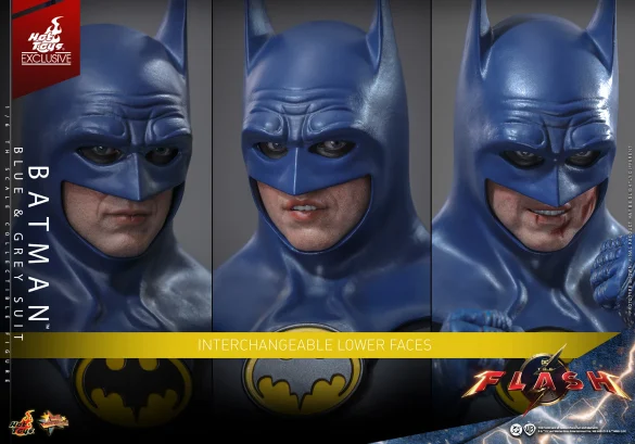 Hot Toys Grey and Blue Batman